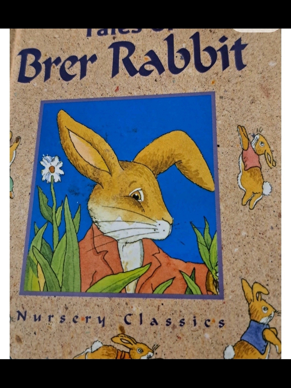 Tales of Brer Rabbit Illustrated Children's Book - Blue & Brown Cover